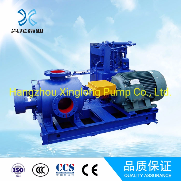 Xinglong Pd Positive Displacement Double Twin Screw Pump for Fuel Oil and Other Oils