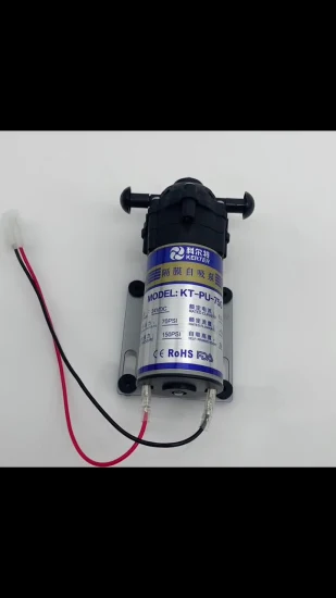 수처리 예비 부품, 고압 유압 RO 전기 다이어프램 부스터, RO 정수기 용 자체 프라이밍 DC24V 75gpd 펌프